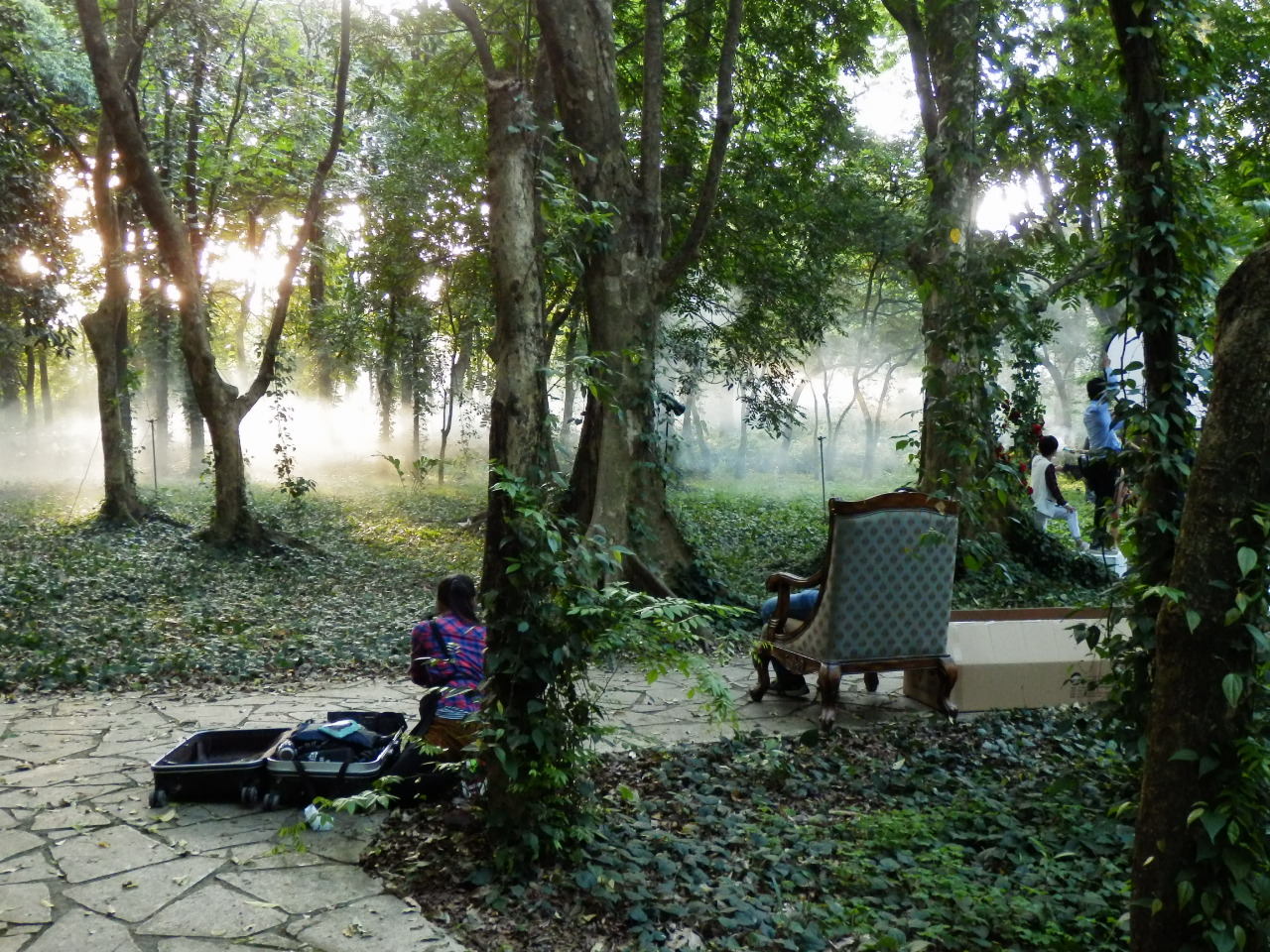 The South China Botanical Garden