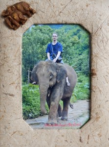 I think this photo sums up my feelings about this elephant training camp rather well. 