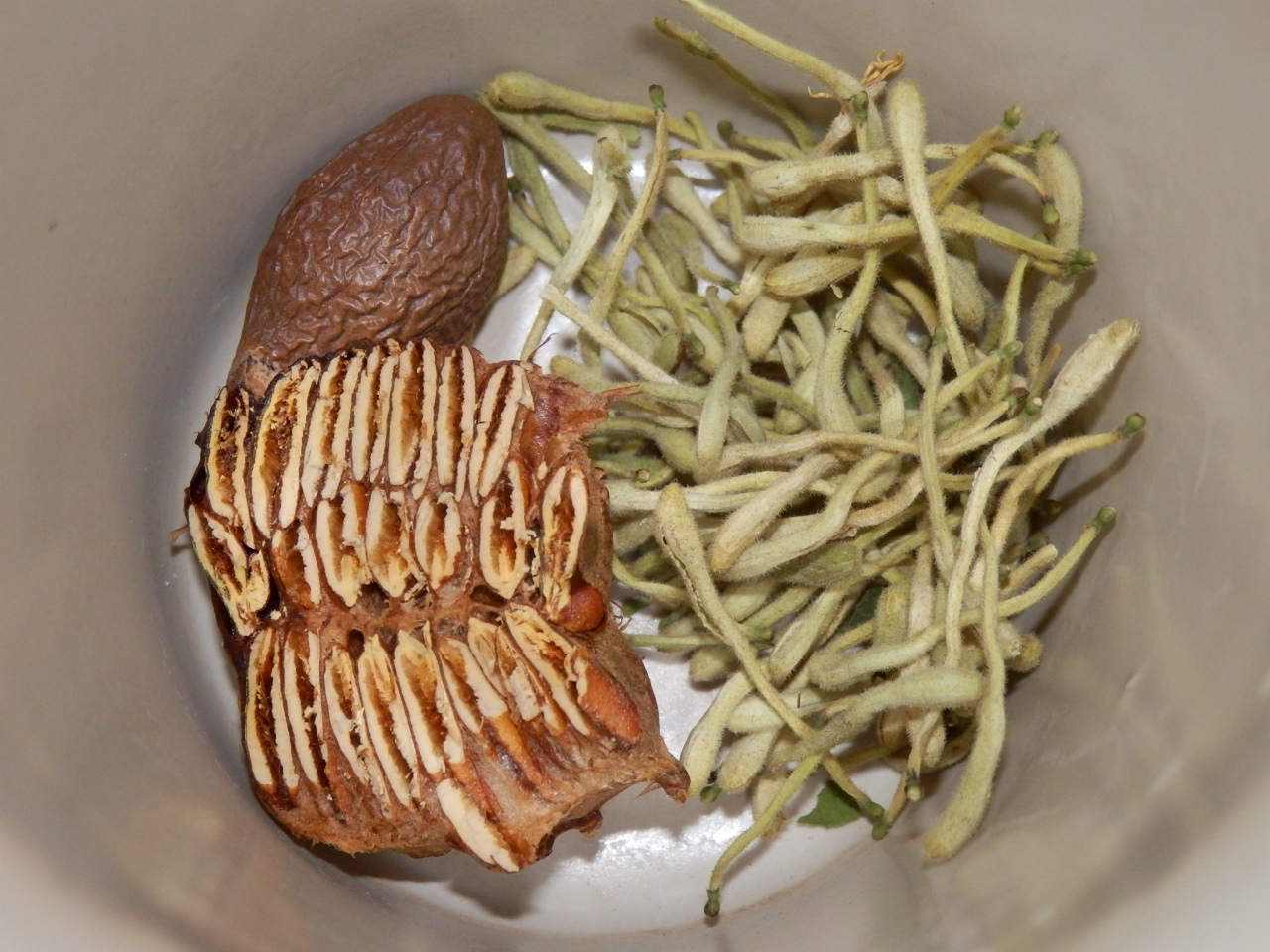 Traditional Chinese Medicine