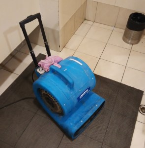 bathroom floor dryer