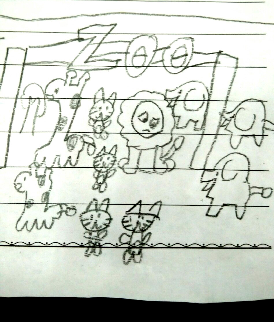 zoo drawing