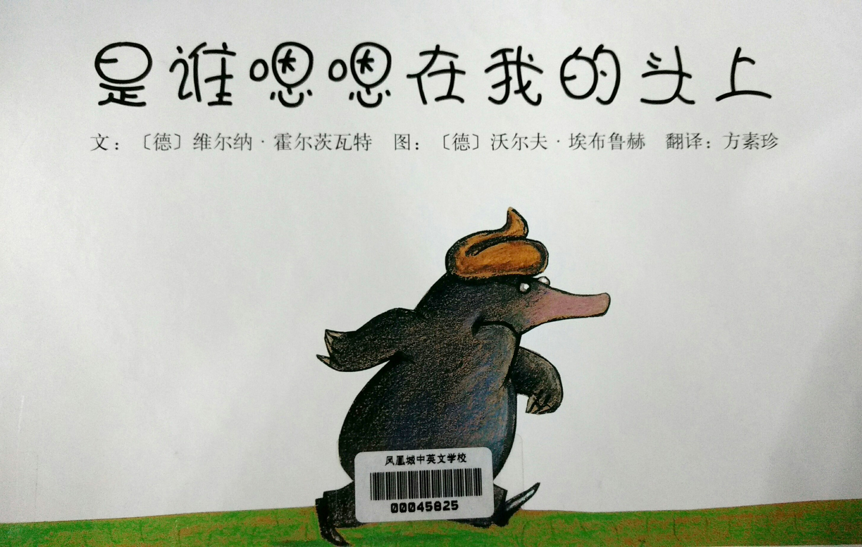 book-cover
