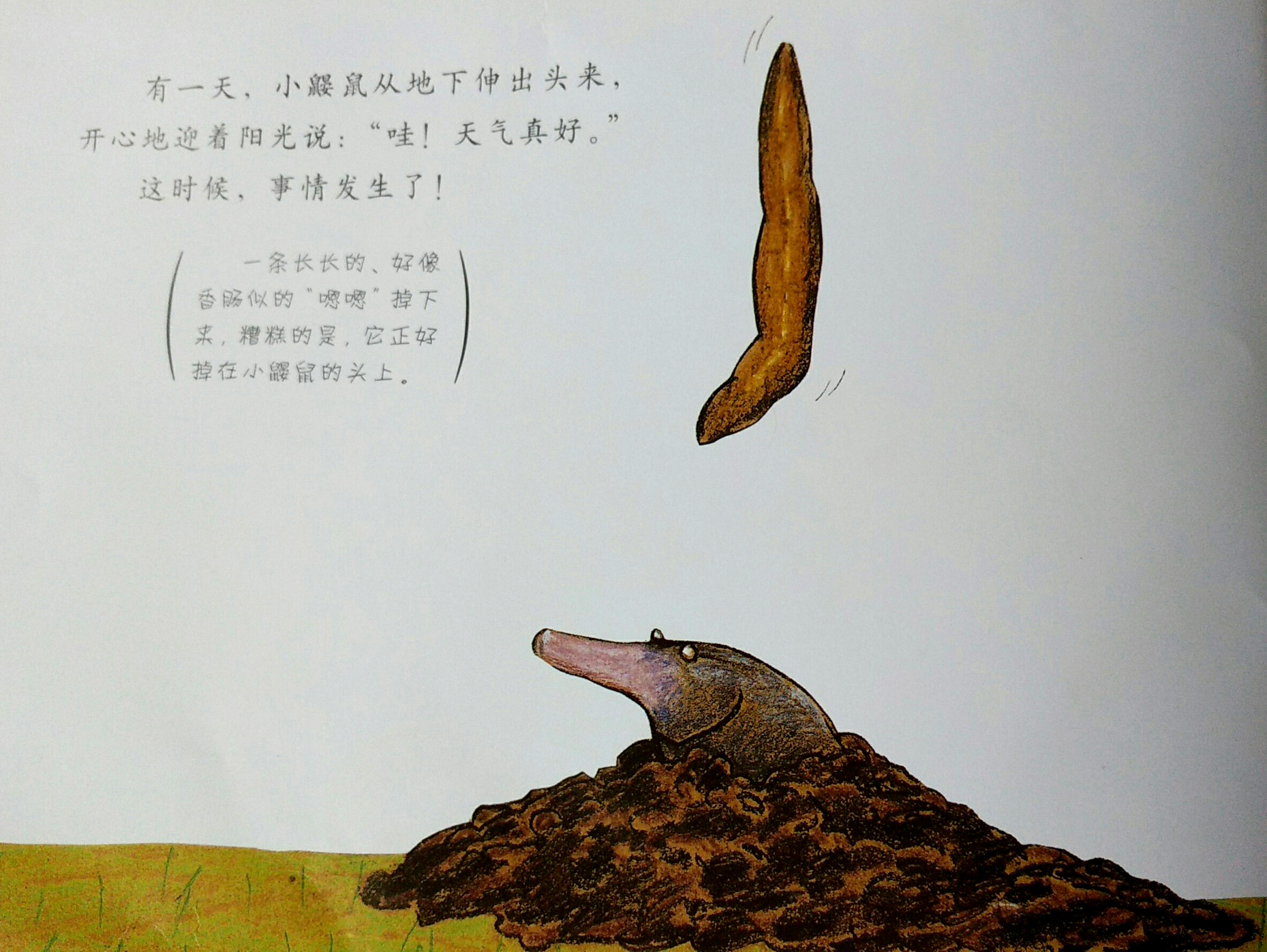 page-1