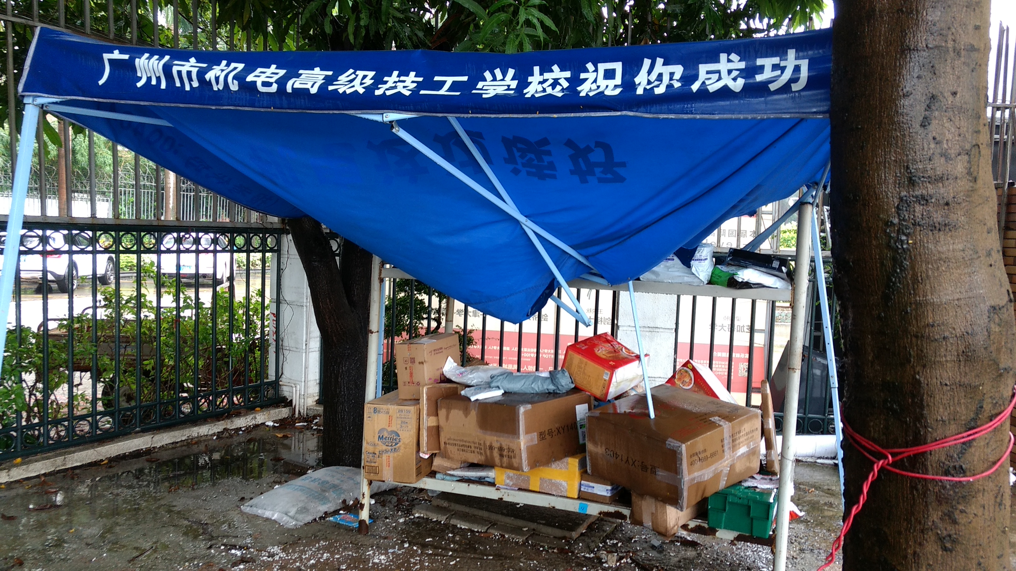 Updates and More “Oopsies”