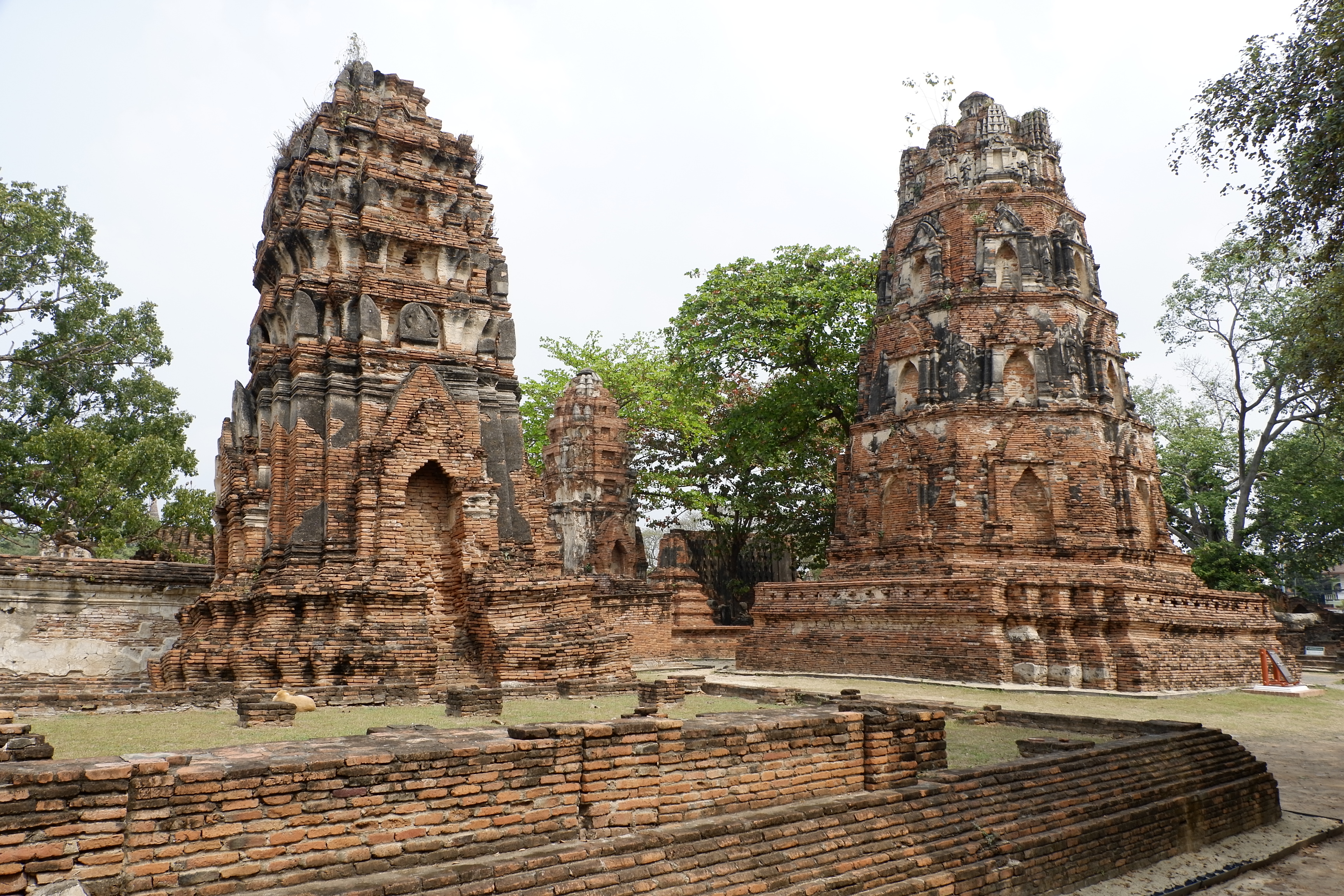 Chinese New Year (Spring Festival 春节) In Thailand