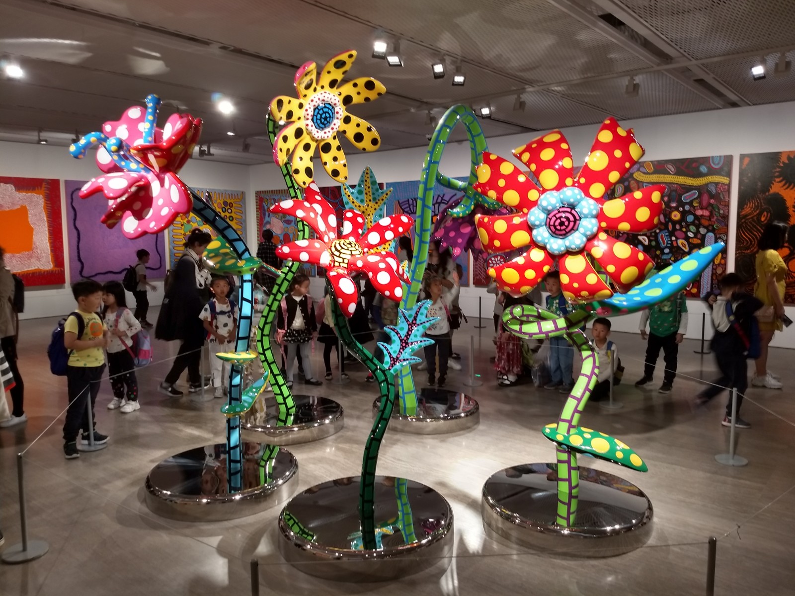 IMG_20190517_105056063_HDR