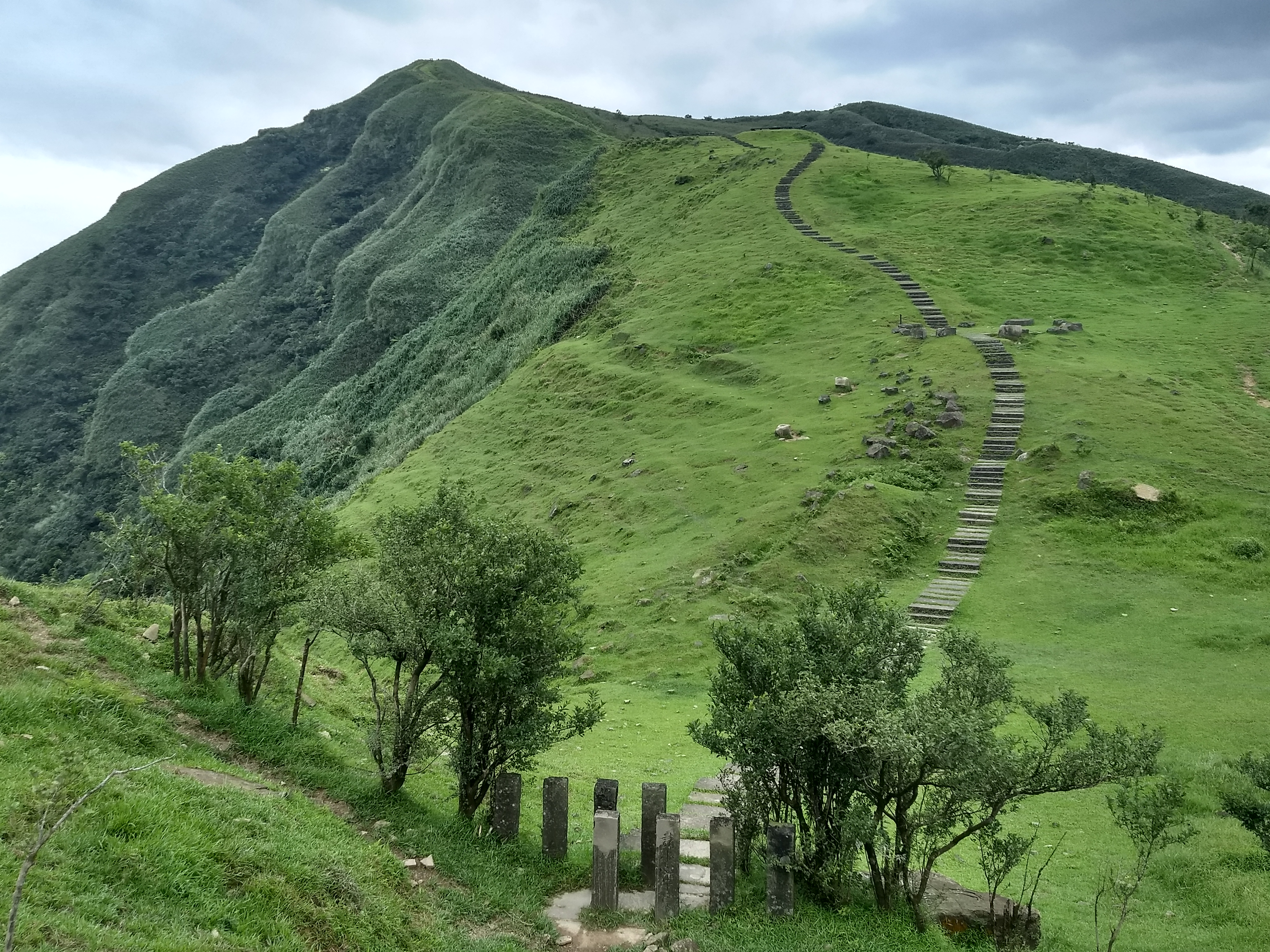 IMG_20190705_145242451_HDR