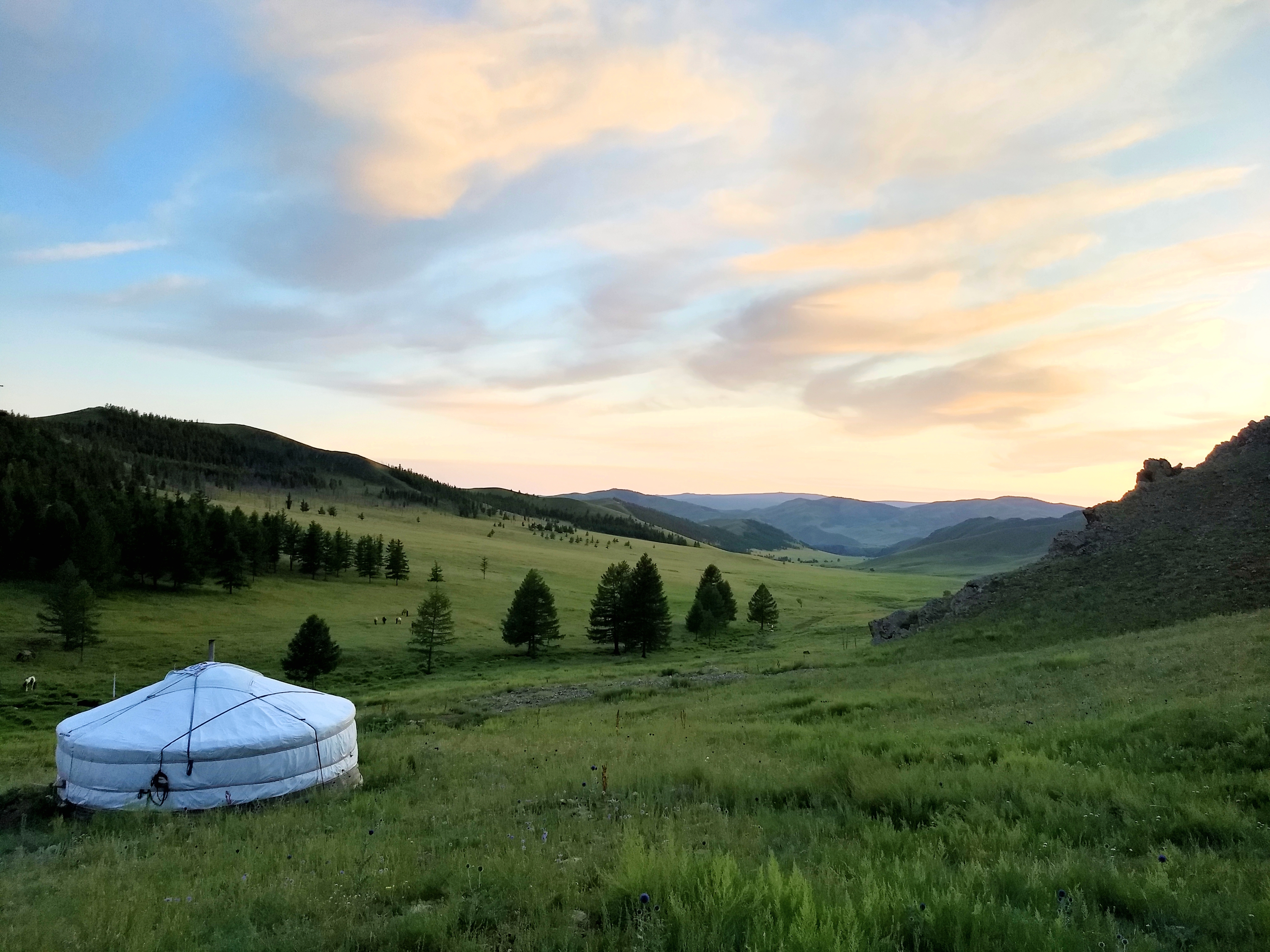 The Mongolian Tetralogy: Part 1