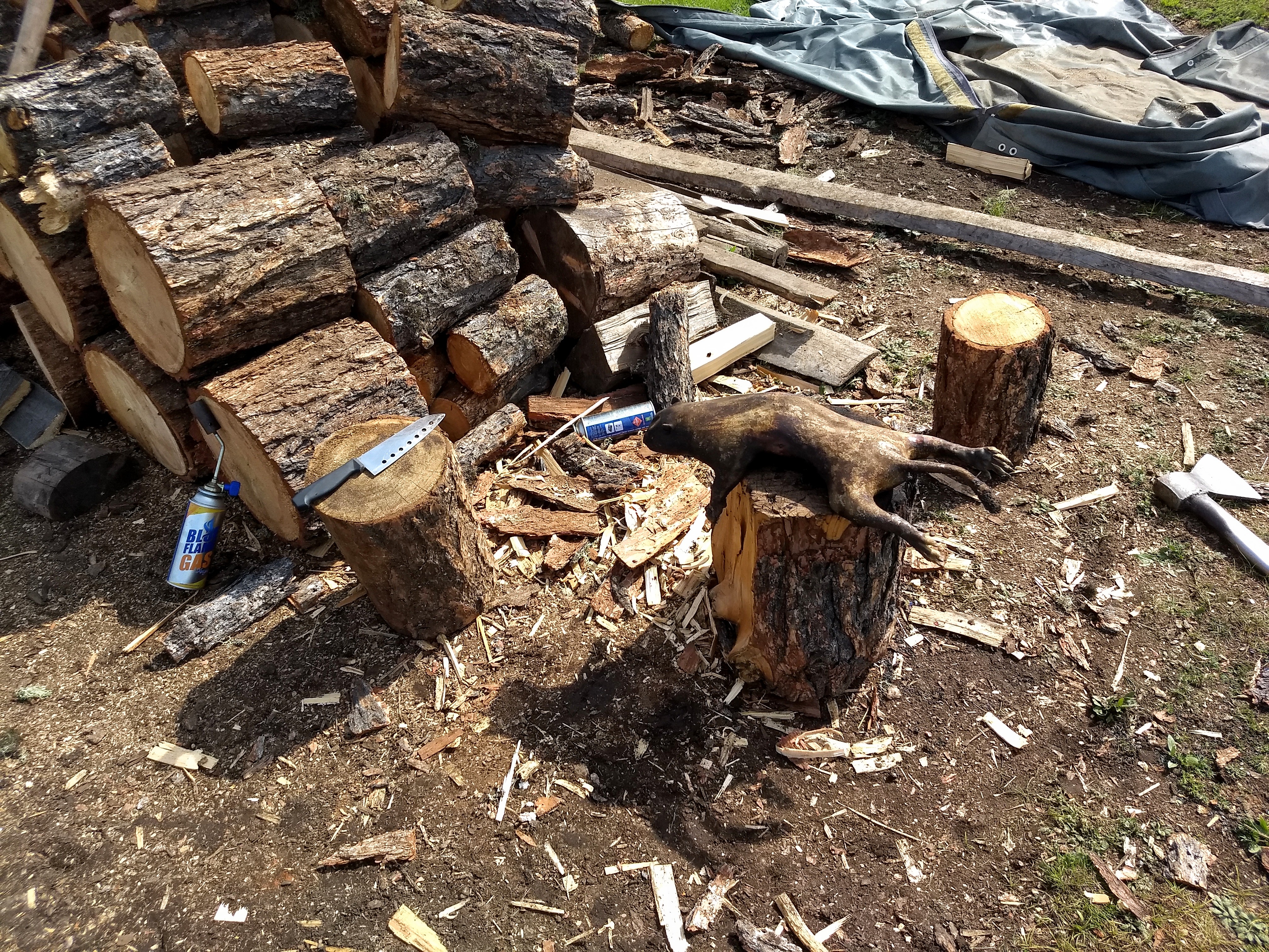 IMG_20190801_111411443~2