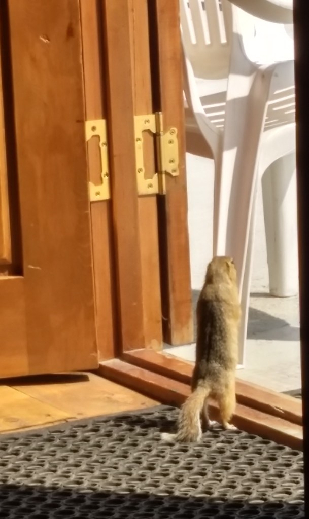 IMG_20190802_142914847_HDR~2