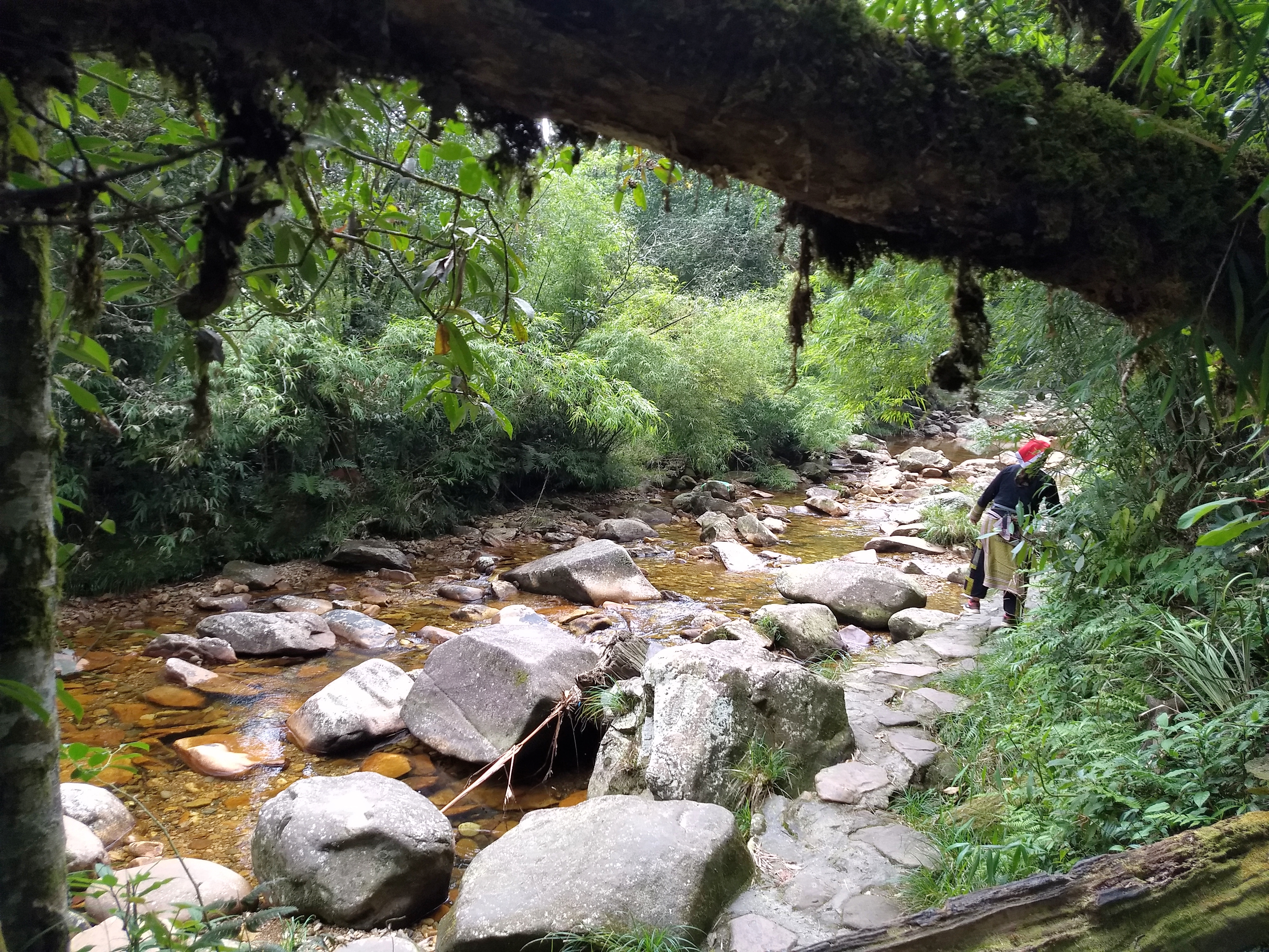 Vietnam: The Sapa Saga (part 2)