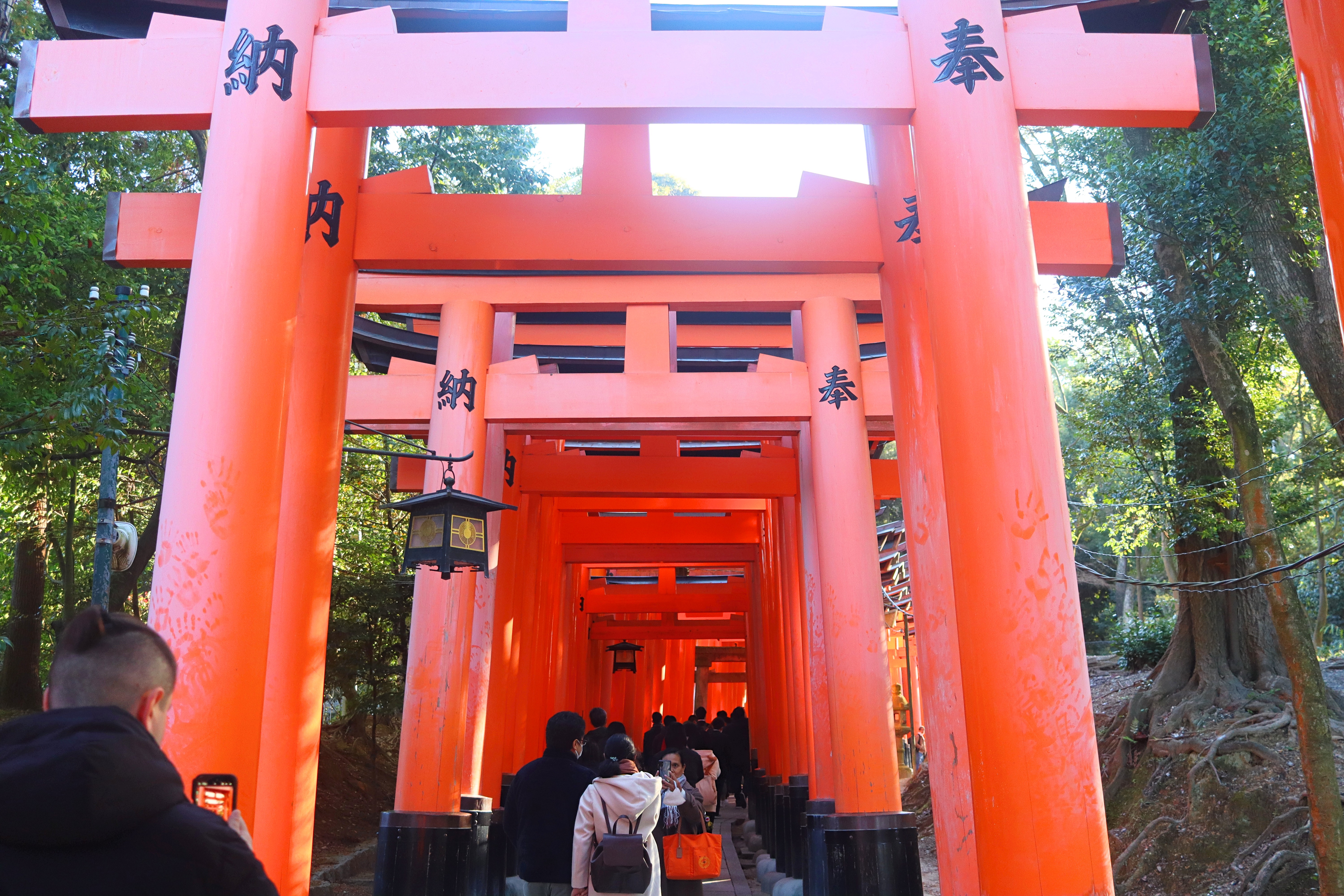 Kyoto (Part 1): Fushimi Inari Taisha