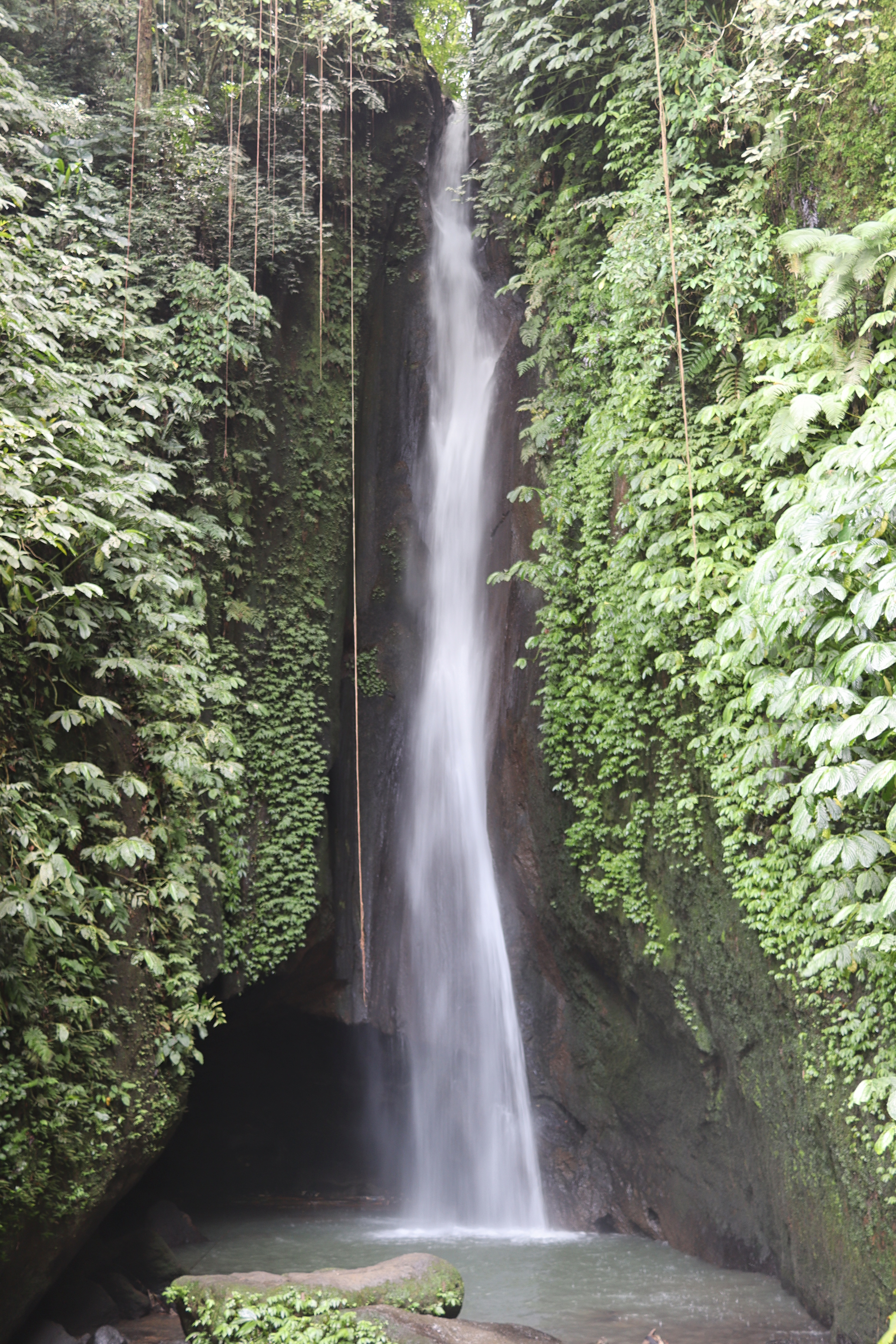 A waterfall cascading down a rocky cliff surrounded by lush greenery, with water flowing into a serene pool at the base.