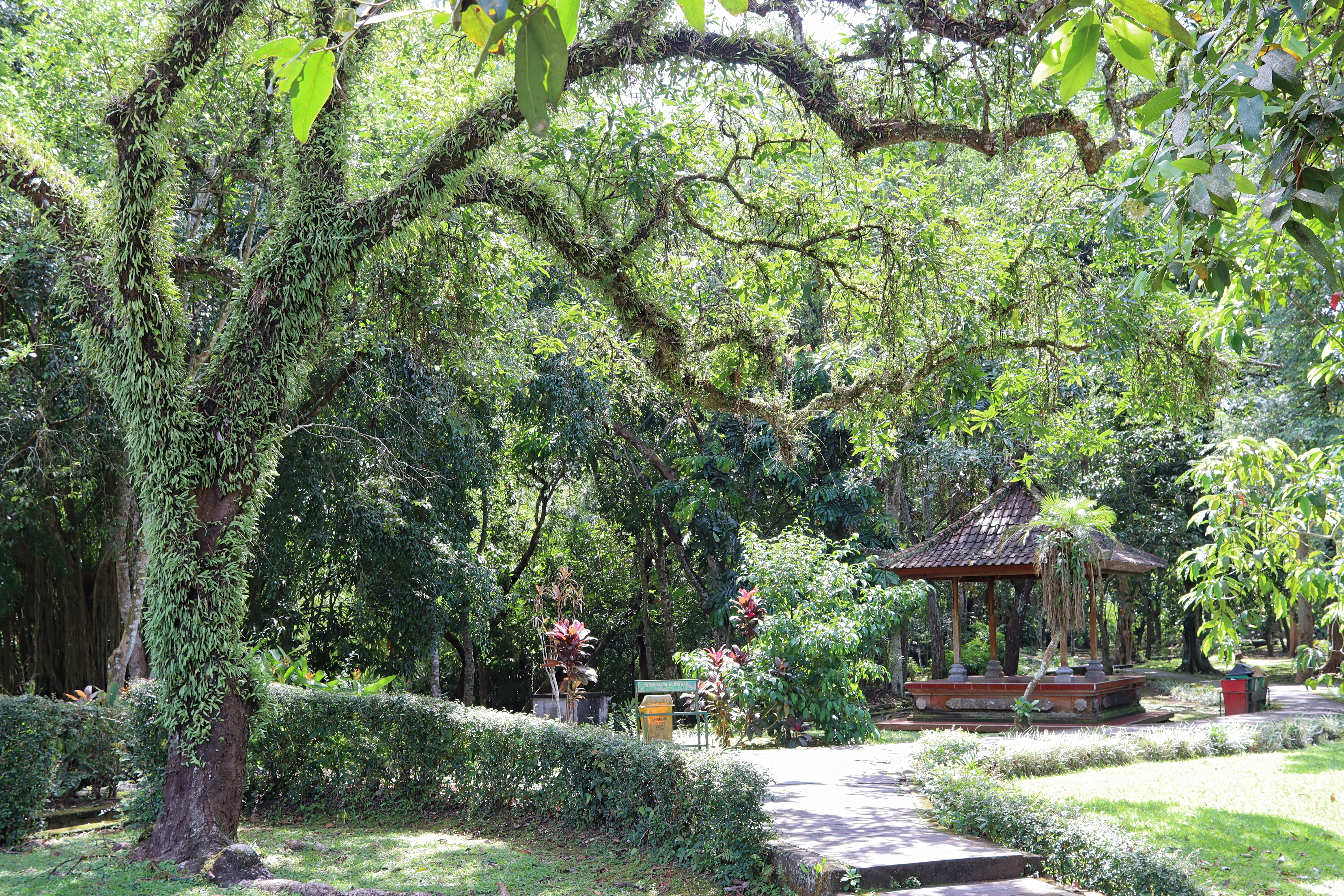 A serene view of a lush park with a large tree adorned with green ferns, surrounded by vibrant plants and a traditional gazebo in the background.