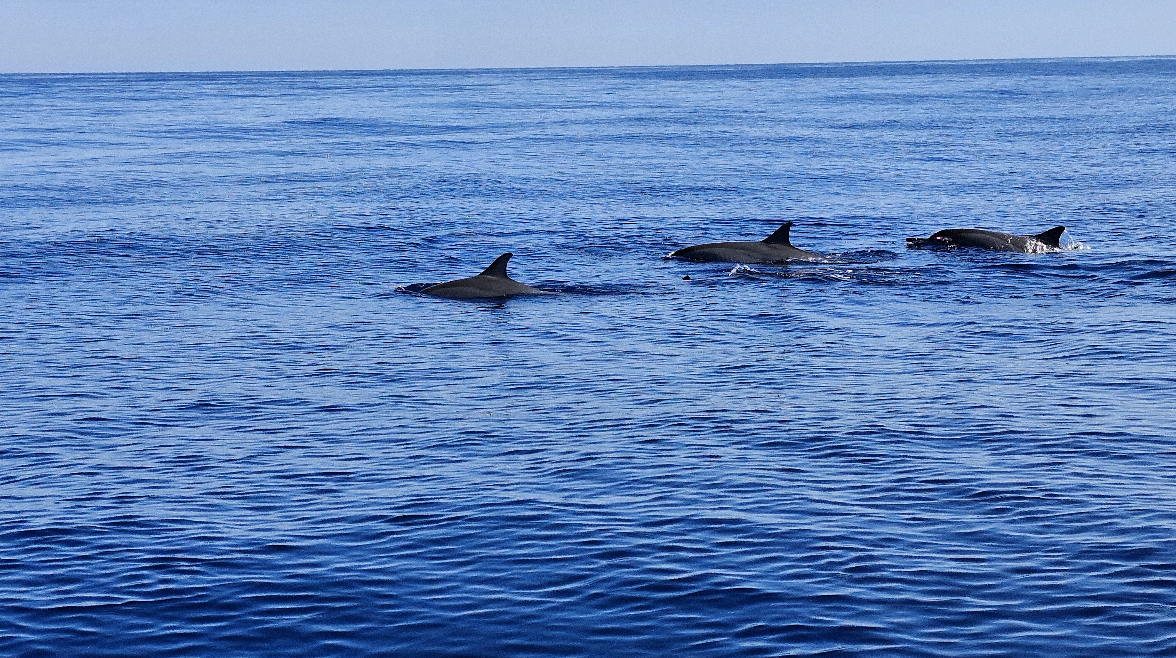 Bali: From Ubud to Lovina